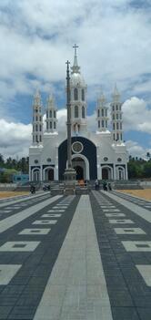 Tasmac Bar (wineshop)