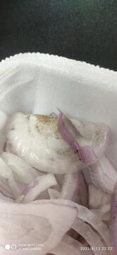 PURE VEG CHINESE RESTAURANT