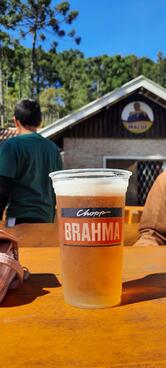 Pastelão Do Maluf Ducha De Prata