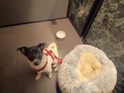 Fiuto Restaurant Drink & Food