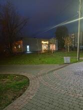 Два жирафа