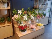 FNP: Florist & Bakery in Karnataka