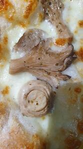 Pizza Tredici Mezzocammino