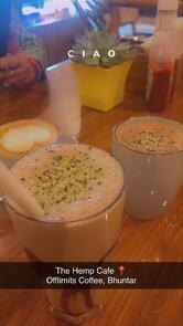 Offlimits Coffee Kullu Manali Highway