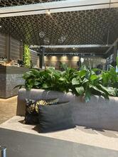 Ресторан Nest