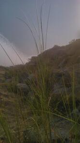 Archana Sweets And Bakery