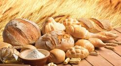 Panificadora Pães Finos