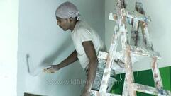 Painter and Electricians