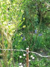 Tougnaud Emmanuel Yves