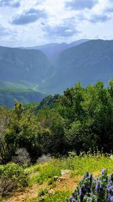 Paninoteca Silana Di Marco Frau