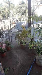 Swathi Vegetarian Restaurant