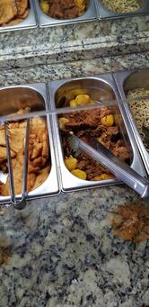 A P Correia de Lima Veschi