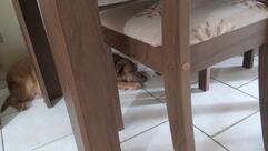 Padaria e Merc Parque dos Eucap