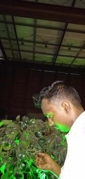 Red Chillies Roof Top Barbeque Restaurant