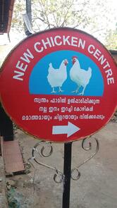 New Chicken Centre