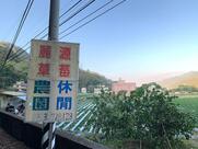 麗琴草莓園