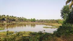 Gracel Gig Bar and Famiy Restaurant