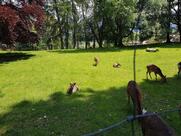 Au Soleil - Cafétéria Restaurant