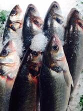 Tarbett's Fishmongers