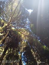 Traditional INN RESTAURANT