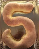 FORNERIA GAVAZZENI SNC DI GAVAZZENI MARCO E MARIALUISA E C.