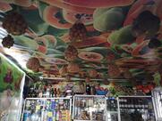 محلبة نزهة حسان