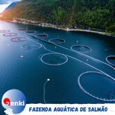 Genki Indústria e Distribuidora - Especialidade Pescados e Produtos Orientais