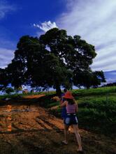 Fazenda dos Coqueiros - Coqueiral, MG