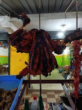 Green Chilly Fast Food