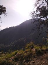 Green Valley Birding Lodge