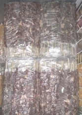 King'spetinhos & Burger