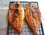 PEIXE SEM ESPINHA - REGISTRADA