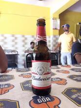 Rlven Surya Bar And Restaurent