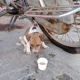 Venkata Kanakadurga Hotel
