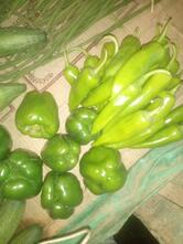 ahar hotel & restraint ita vta 4ali