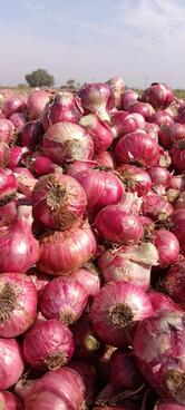 Ashapura Hotel & Restaurant