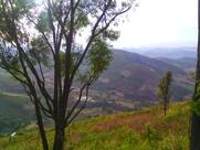 Purna Tiffine Center