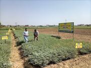 Gurukripa Bhojanalay