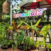 ตลาดนัดต้นไม้ชายคลอง