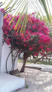 Pousada Maresia Atins