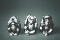 BrewChimp Urmston
