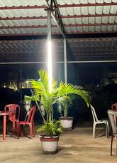 white elephant cafe & restaurant