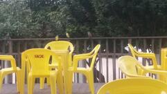 Butikin Alter Restaurante-Bar