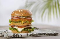 SF Food Pure Veg Pizza & Burger