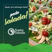 Santa Salada Delivery