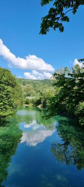 Harry'S Bar Di Jin Xin