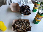 Grilled fish and meat