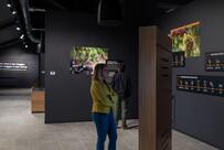 Wine Shop Mondodelvino