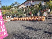 Panificadora Mais Sabor