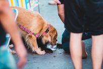 Santuário da Cerveja